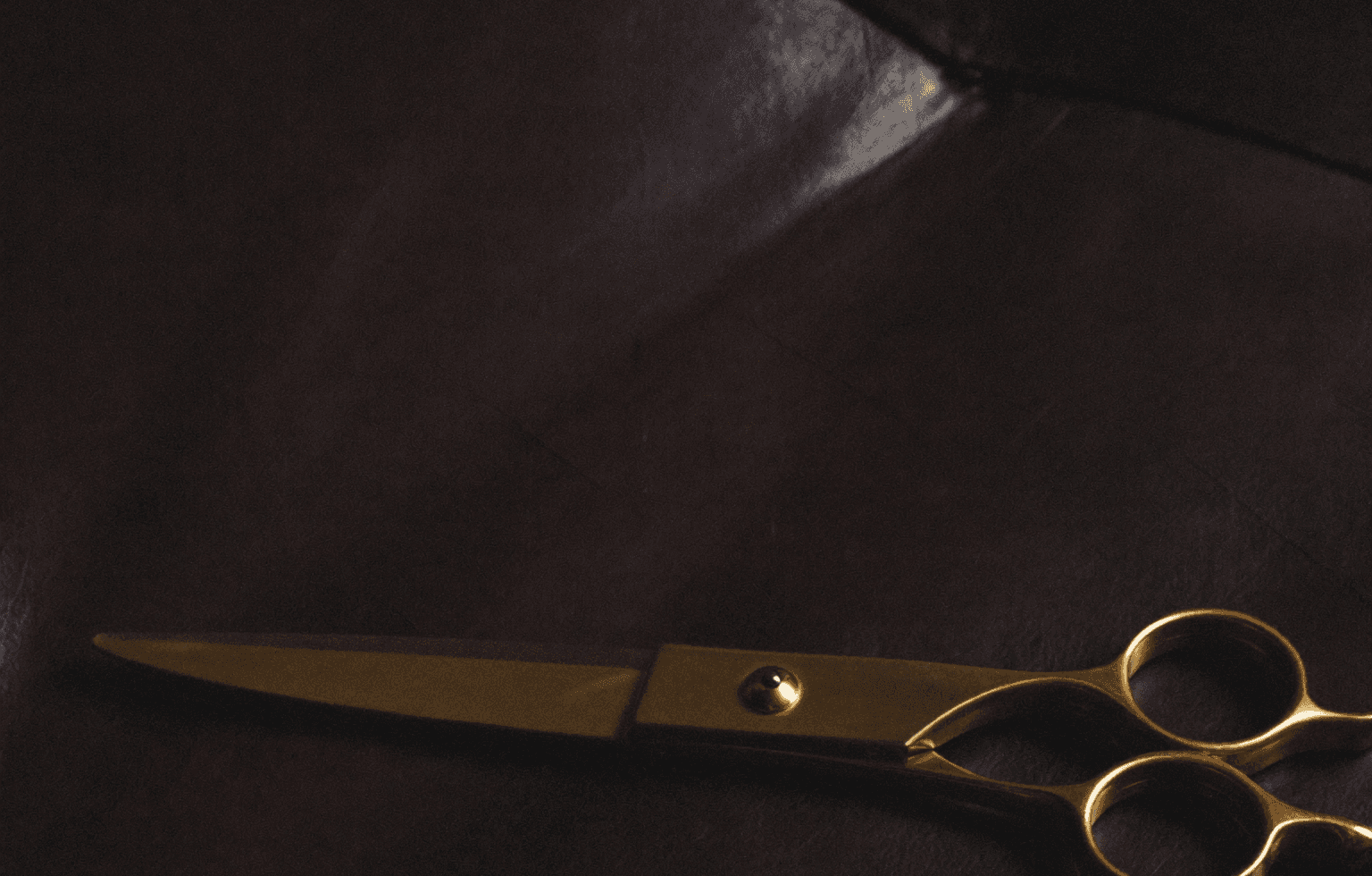 Gold shears on oxblood leather