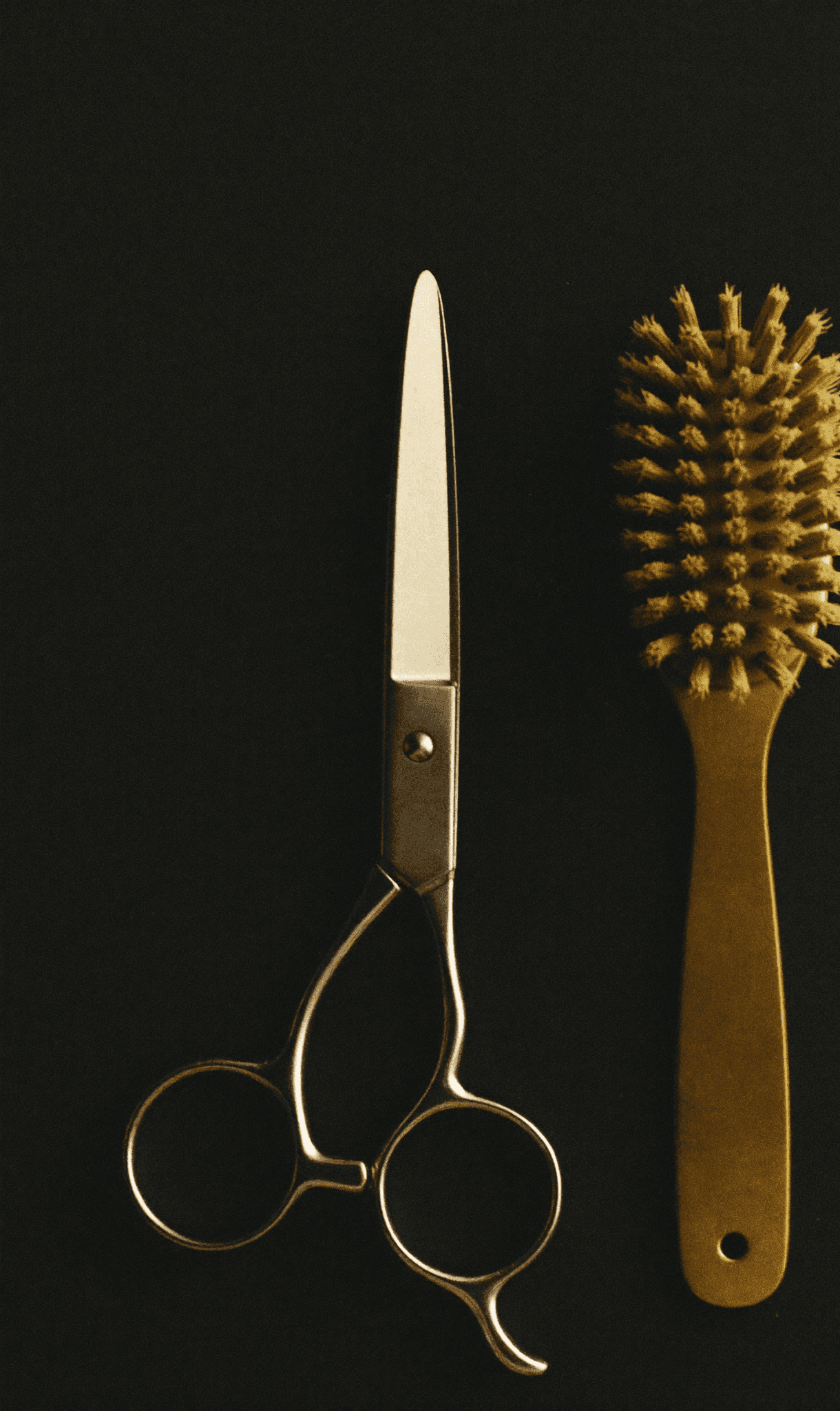 Shears and bristle brush laid out